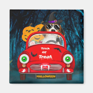 Beagle Hunde Beängstigendes Auto Magnet