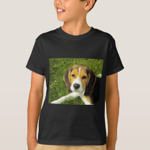 Beagle Hunde Haustiere Liebe Frieden T-Shirt