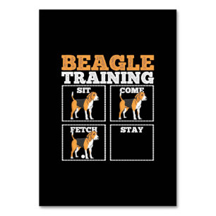 Beagle Hunde-Training Hund Tischnummer