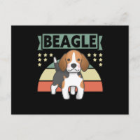 Beagle | Hundebesitzer Beagle