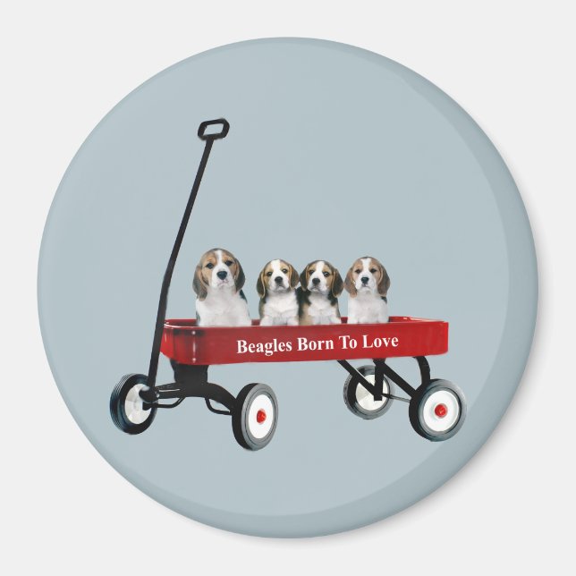 Beagle im Wagon Magnet (Vorne)