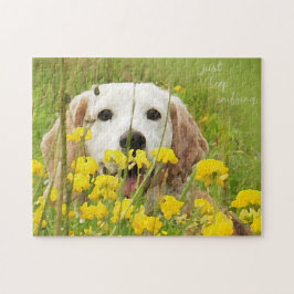 Beagle in Blume behalte nur, Ermutigung zu erstick