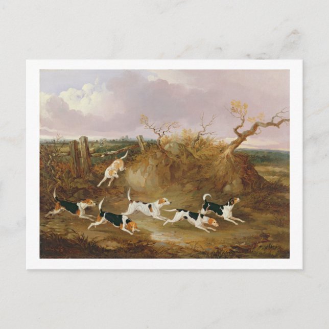 Beagle in Vollkornholz, 1845 (Öl auf Leinwand) Postkarte (Vorderseite)