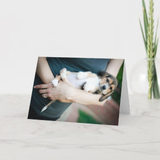 Beagle in Waffen Karte