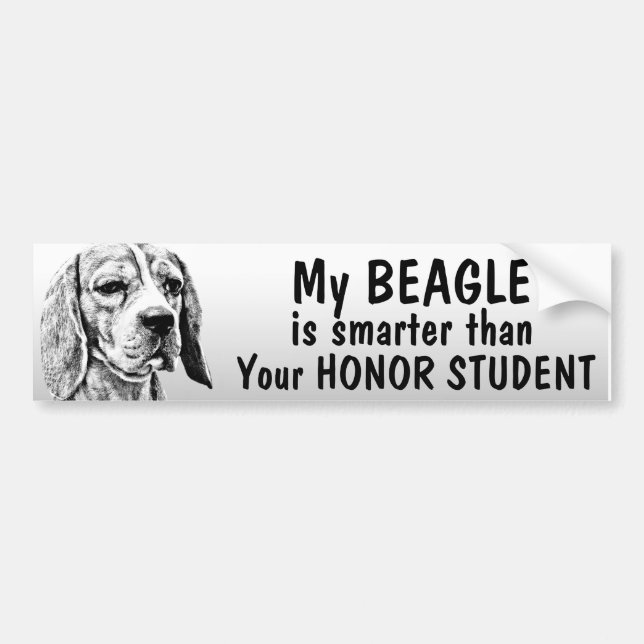 Beagle - intelligenter als Ehrenstudent - lustig Autoaufkleber (Vorne)
