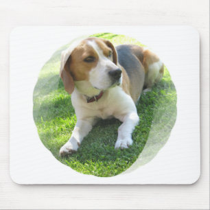 Beagle-Jagdhund-Hundemausunterlage Mousepad