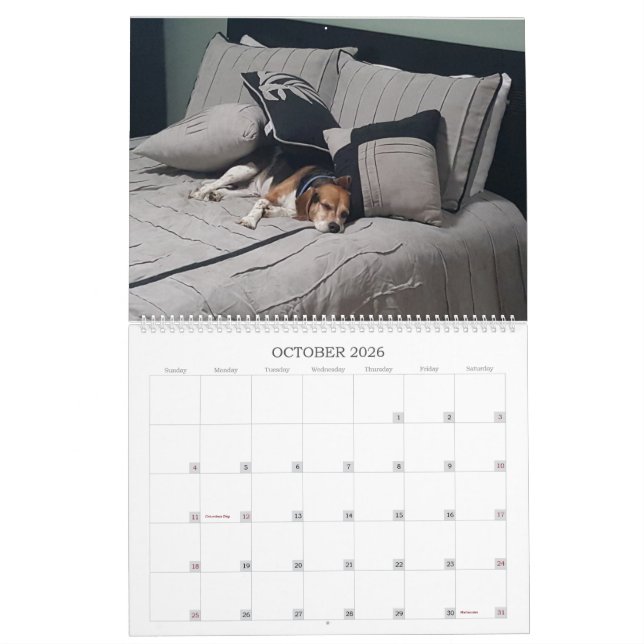 Beagle-Kalender 2017 Kalender (Okt 2026)