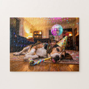 Beagle Kater nach Silvesterparty