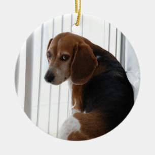 Beagle Keramikornament