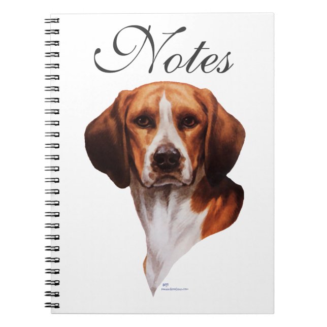 Beagle-Kopfstudie Notizblock (Vorderseite)