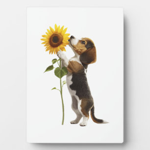 Beagle-Kopie Fotoplatte