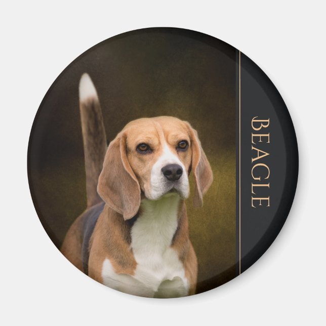 Beagle Kühlschrankmagnet (Vorne)