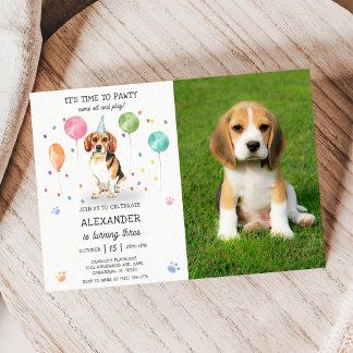 Beagle Lasse Pawty Dog Welppy Birthday Blue Foto Einladung