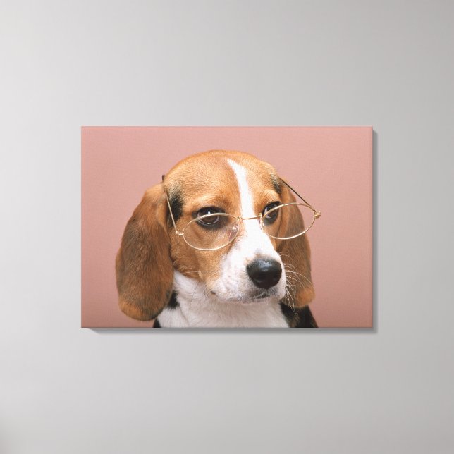 Beagle Leinwanddruck (Vorderseite)