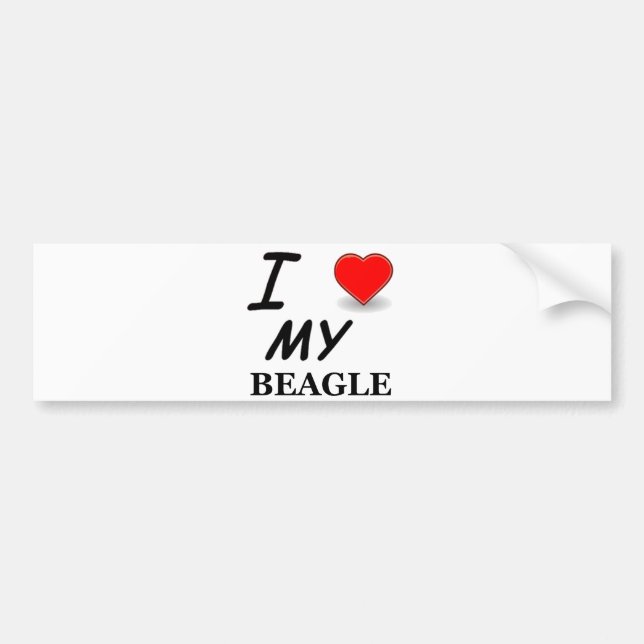 Beagle Liebe Autoaufkleber (Vorne)