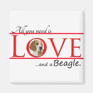 Beagle Liebe Magnet