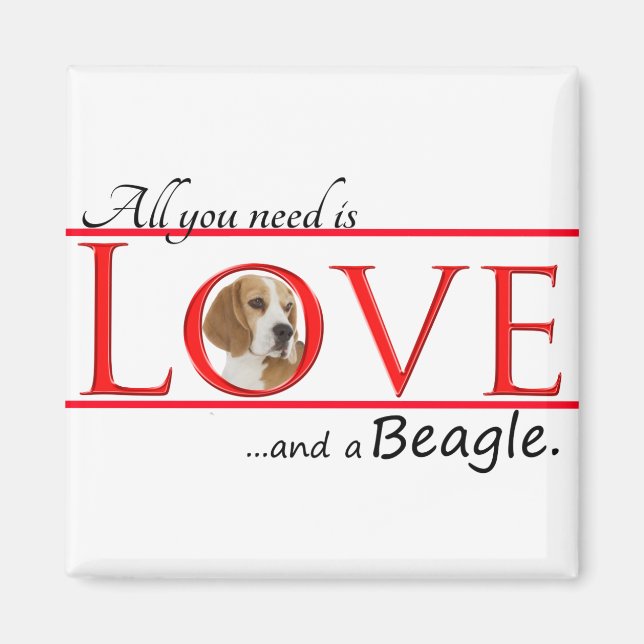 Beagle Liebe Magnet (Vorne)