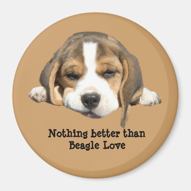 Beagle Magnet (Vorne)