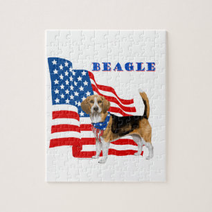 Beagle mit amerikanischer Flagge