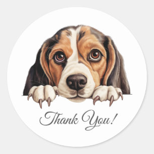 Beagle Niedlich Dog Vielen Dank Runder Aufkleber