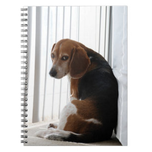 Beagle Notizblock