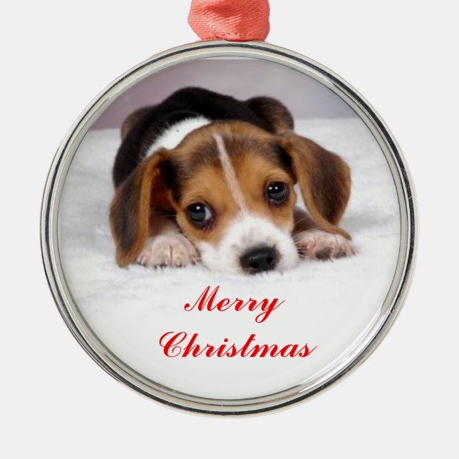 Beagle Ornament Aus Metall (Vorne)