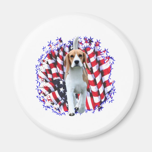 Beagle Patriot Magnet (Vorne)