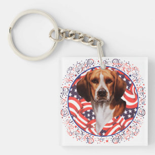 Beagle Patriotique