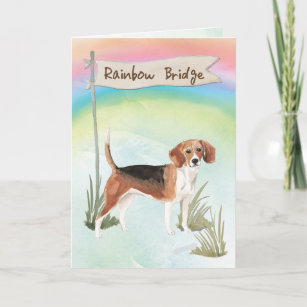 Beagle Pet Beileid über Regenbogenbrücke Karte