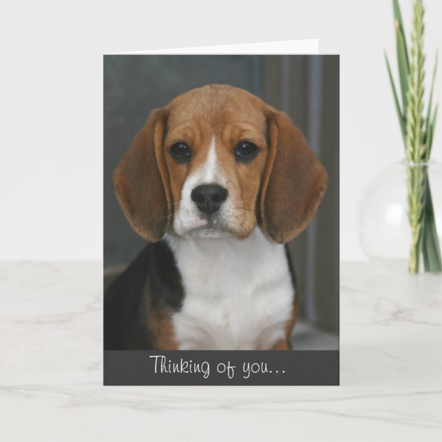 Beagle-Porträt-Karte Karte (Vorderseite)