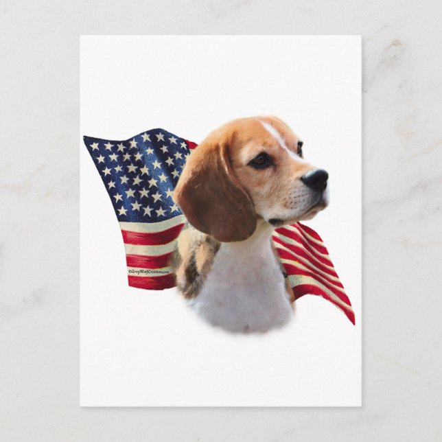 Beagle Postkarte (Vorderseite)