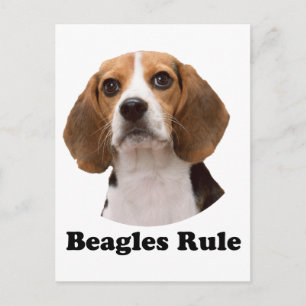 Beagle Postkarte