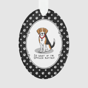 Beagle pourri Spoché (tri couleur 3) Chien drôle