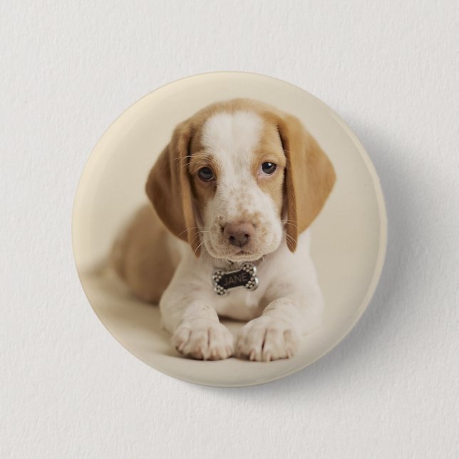 Beagle Puppy Button (Vorderseite)