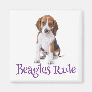 Beagle Puppy Dog Kühlschrankmagnet
