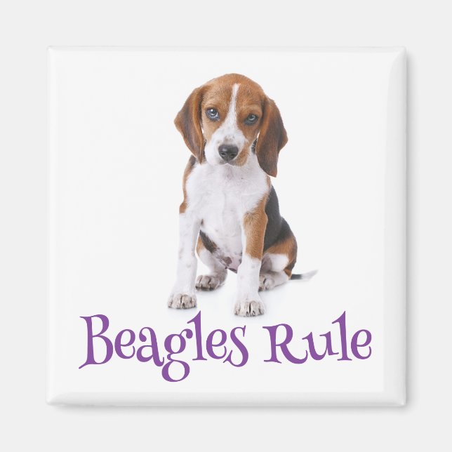 Beagle Puppy Dog Kühlschrankmagnet (Vorne)