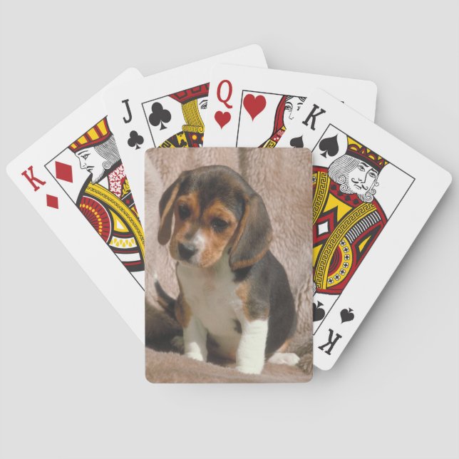 Beagle Puppy Dog Spielkarten (Rückseite)