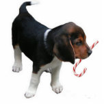 Beagle Puppy Ornament Fotoskulptur Ornament<br><div class="desc">This Beagle Puppy Ornament makes a great little Christmas Gift or Stocking Stuffer.</div>