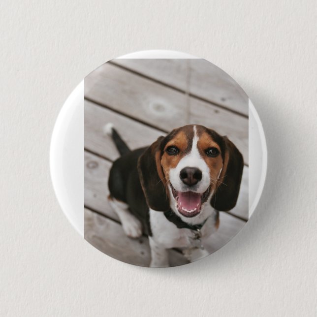 Beagle-Puppy-Sitting Button (Vorderseite)