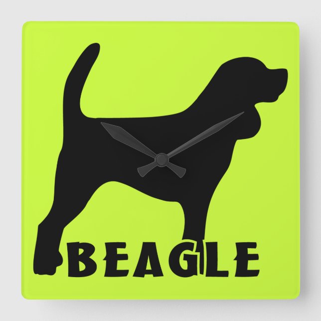 Beagle Quadratische Wanduhr (Vorderseite)