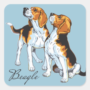 Beagle Quadratischer Aufkleber