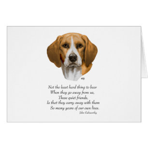 Beagle Rainbow Bridge