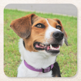Beagle Rechteckiger Pappuntersetzer