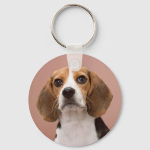 Beagle Schlüsselanhänger