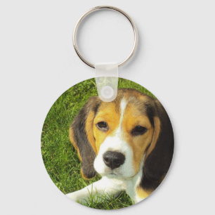 Beagle-Schlüsselanhänger Schlüsselanhänger