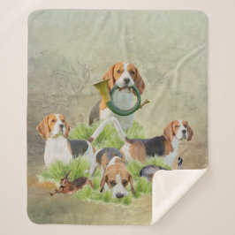 Beagle Sherpadecke