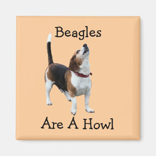 Beagle sind ein Heuschnupfen Magnet