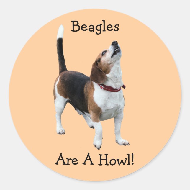 Beagle sind ein Howl Funny Hund Sticker (Vorderseite)