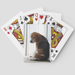 Beagle Spielkarten