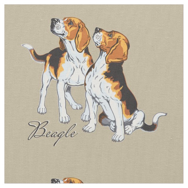 Beagle Stoff (Nahaufnahme)